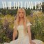 Wildflower