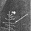 Reh. Demo 1 / 1995