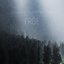 Pouring Summer Rain