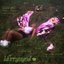 blurryeyed
