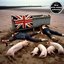 isle of pigs - EP