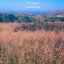 Heathlands