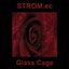 Glass Cage