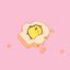 Bread Dreams