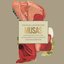 Musas (Un Homenaje al Folclore Latinoamericano en Manos de Los Macorinos, Vol. 1) [feat. Los Macorinos]