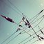 Sirens and Satellites