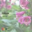 Foxglove - Single