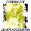 Leash Aggression