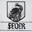 Fever