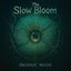 The Slow Bloom