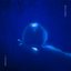 Prolog I (EP)