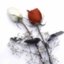 Downhearted Ballad