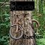 Cycles