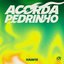 ACORDA PEDRINHO