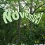 November
