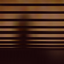 Avatar for Steshystesh
