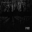 Fragments of the dark