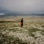 Evergreen In Your Mind - Single