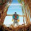 These Days (feat. Jess Glynne, Macklemore & Dan Caplen) [Mr. Jukes Remix]