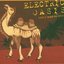 Electric Oasis