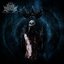Desecrate Infinite