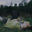 stories