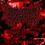 Erotic Fixation For Necrotic Wounds