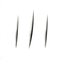 Points and Slashes