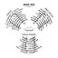 Circles Remixed