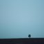 Motherland Landscapes