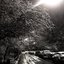 The Diminishing Shine