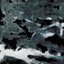 A MURDER OF CROWS