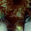 The Quiet Winter Light - EP