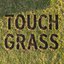 Touch Grass