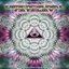 Dimensional Gateway - In The Mix
