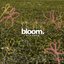 bloom.