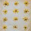 Flowers in the Spring [Explicit]