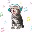 dance dance dance - Single
