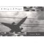A Wing & A Prayer