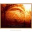 Selected Ambient Works, Vol 2