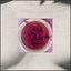 Undo (Your Body) - Single