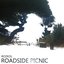 Roadside Picnic
