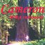 Cameron Of The Redwoods