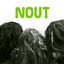 Nout