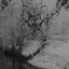 The Frostbitten Path