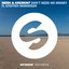 Don't Need No Money (feat. Steffen Morrison)