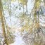 Ambient Selections
