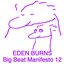 Big Beat Manifesto Vol. XII