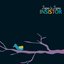 Insistor