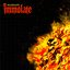 Ruminate
